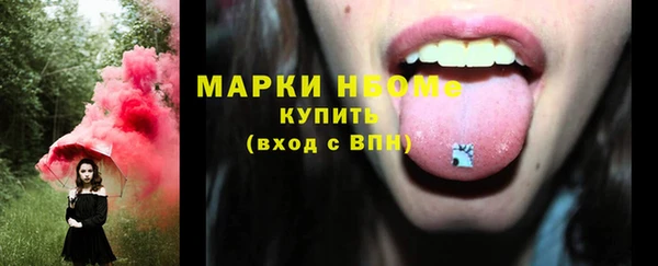 прущие грибы Балабаново