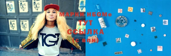 прущие грибы Балабаново