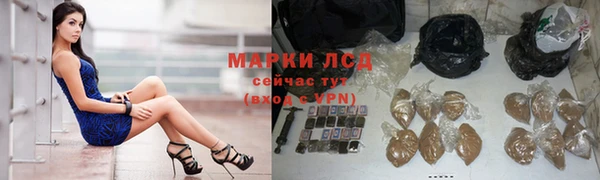 ПСИЛОЦИБИНОВЫЕ ГРИБЫ Баксан