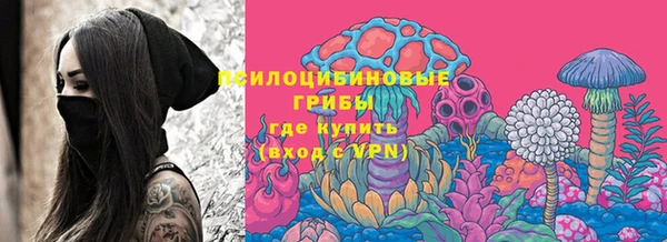 ПСИЛОЦИБИНОВЫЕ ГРИБЫ Баксан