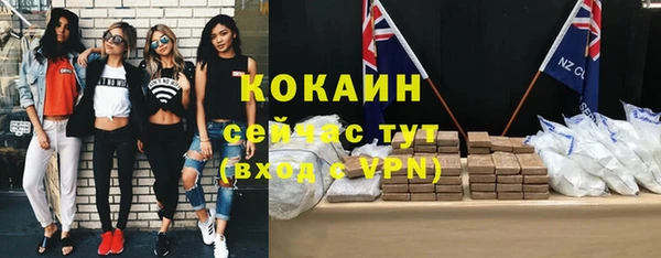 прущие грибы Балабаново